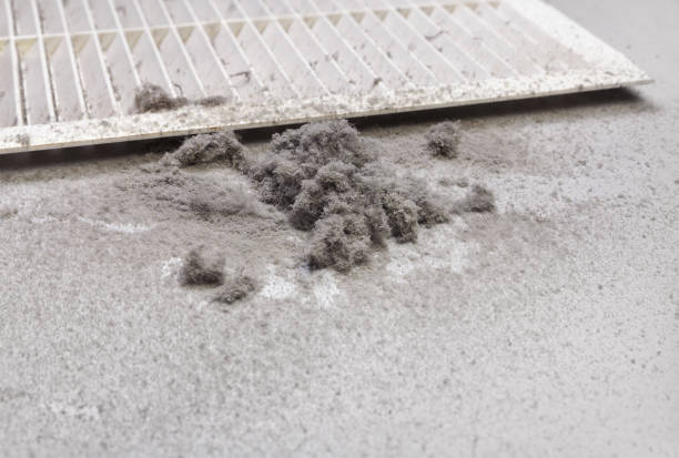 Best Affordable HVAC Duct Cleaning  in Fort Deposit, AL