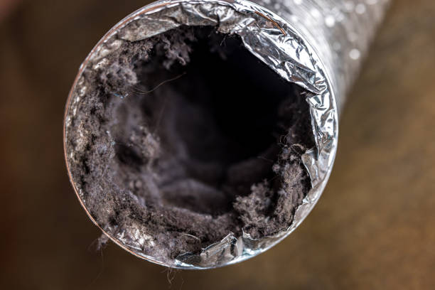 Best Home Air Vent Cleaning  in Fort Deposit, AL