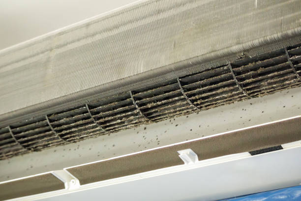 Best Air Duct Cleaning Near Me  in Fort Deposit, AL